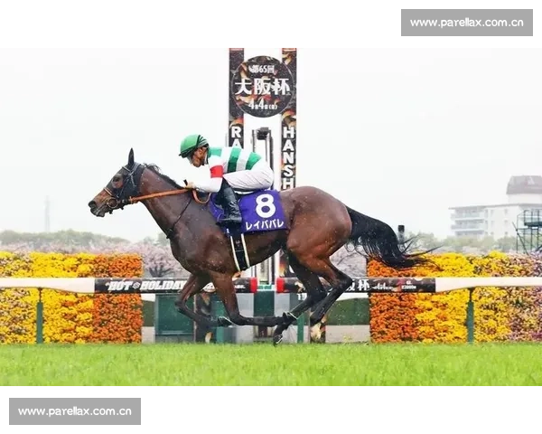 Bottle Of Rouge 凭冲刺绝杀 登顶德尔马新雌马锦标赛 Bottle Of Rouge 凭冲刺绝杀 登顶德尔马新雌马锦标赛