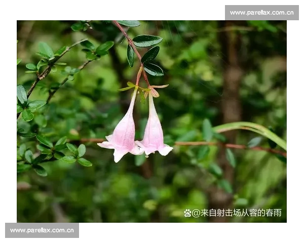 白教视角:滔搏八强之路,每一秒都攥心 白教视角:滔搏八强之路,每一秒都攥心