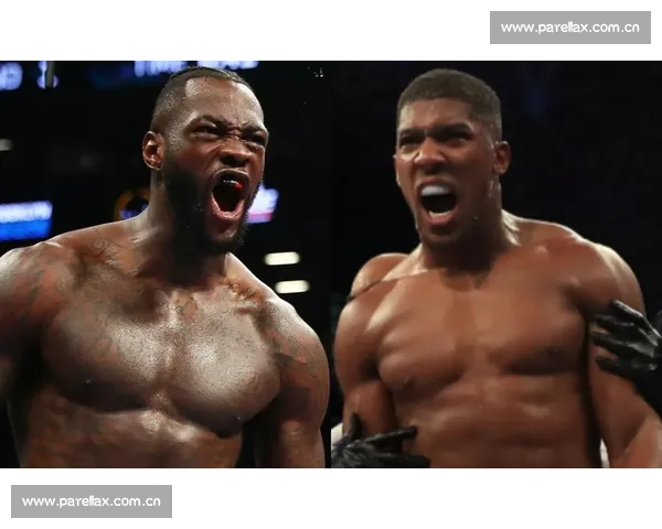 维尔德 2025 开启密集赛程，剑指重量级巅峰