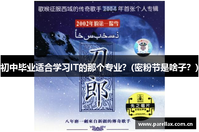 初中毕业适合学习IT的那个专业？(密粉节是啥子？)