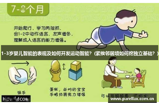 1-3岁婴儿智能的表现及如何开发运动智能？(紧挨邻居墙如何挖独立基础？)