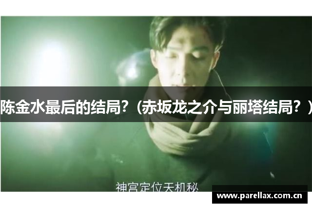 陈金水最后的结局？(赤坂龙之介与丽塔结局？)
