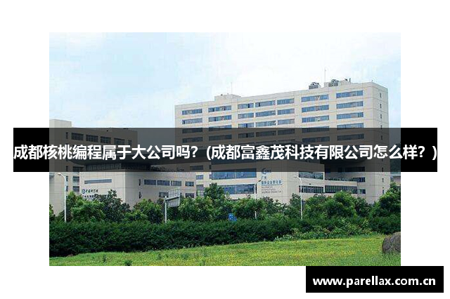 成都核桃编程属于大公司吗？(成都富鑫茂科技有限公司怎么样？)