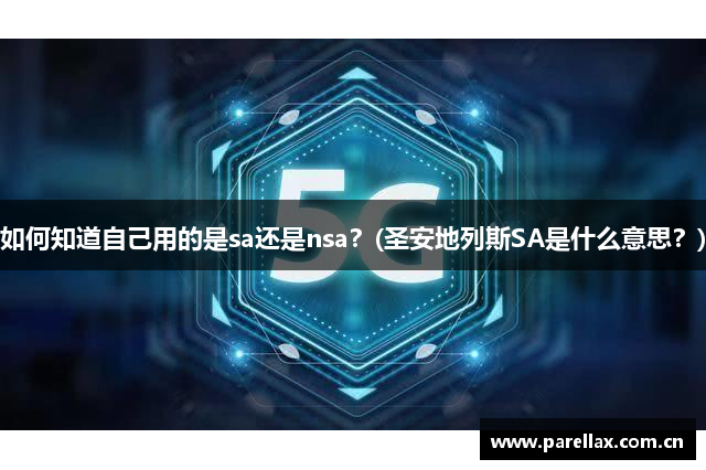 如何知道自己用的是sa还是nsa？(圣安地列斯SA是什么意思？)